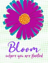 Foster care greeting card. Bloom where you are planted. Or transplanted. The sun shines bright here.