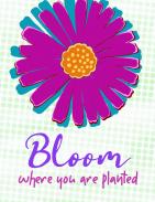 Bloom where you are planted encouragement card